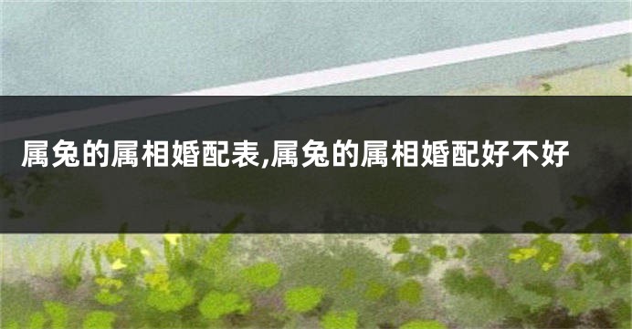 属兔的属相婚配表,属兔的属相婚配好不好
