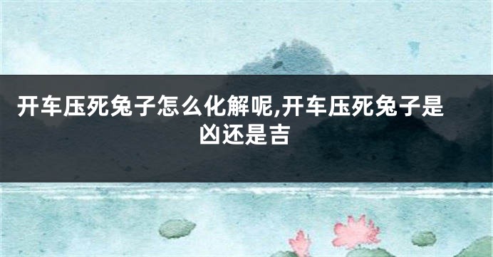 开车压死兔子怎么化解呢,开车压死兔子是凶还是吉