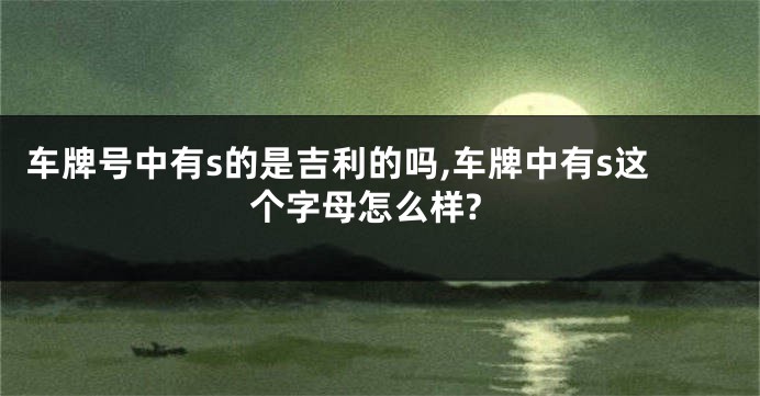 车牌号中有s的是吉利的吗,车牌中有s这个字母怎么样?