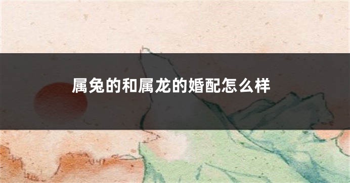 属兔的和属龙的婚配怎么样