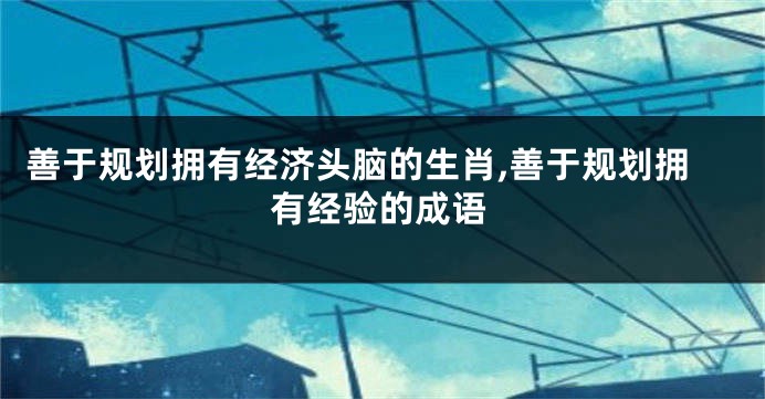 善于规划拥有经济头脑的生肖,善于规划拥有经验的成语
