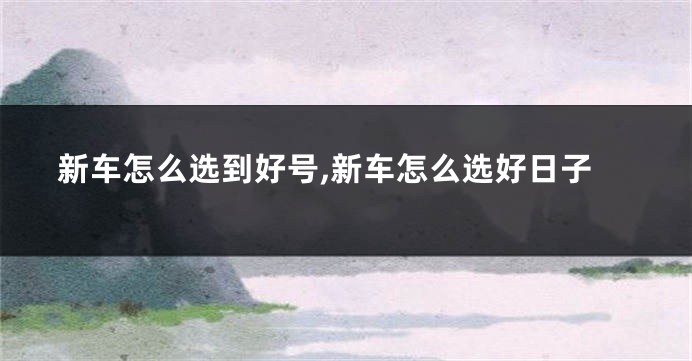 新车怎么选到好号,新车怎么选好日子