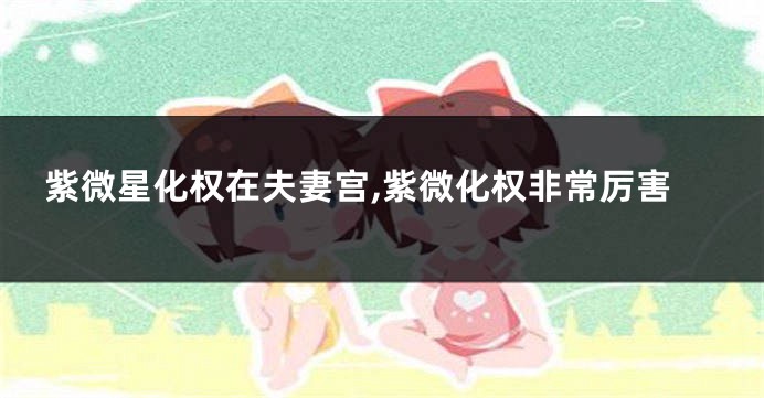 紫微星化权在夫妻宫,紫微化权非常厉害