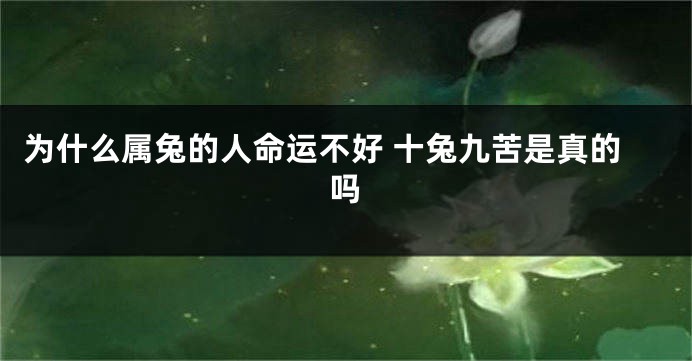 为什么属兔的人命运不好 十兔九苦是真的吗