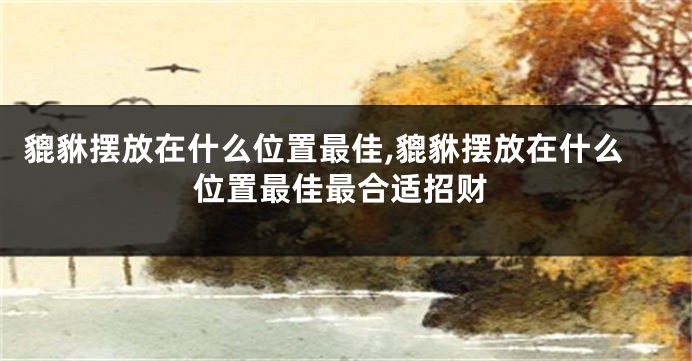 貔貅摆放在什么位置最佳,貔貅摆放在什么位置最佳最合适招财