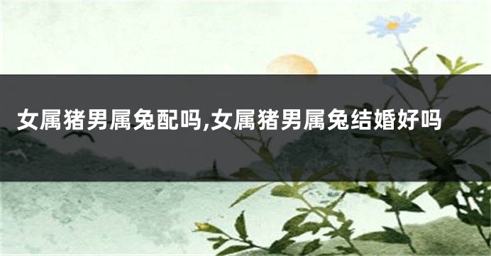 女属猪男属兔配吗,女属猪男属兔结婚好吗