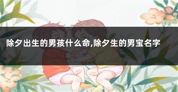 除夕出生的男孩什么命,除夕生的男宝名字