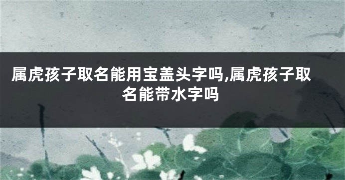 属虎孩子取名能用宝盖头字吗,属虎孩子取名能带水字吗