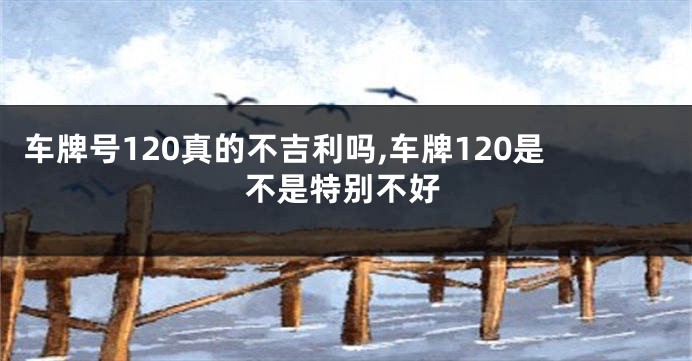 车牌号120真的不吉利吗,车牌120是不是特别不好