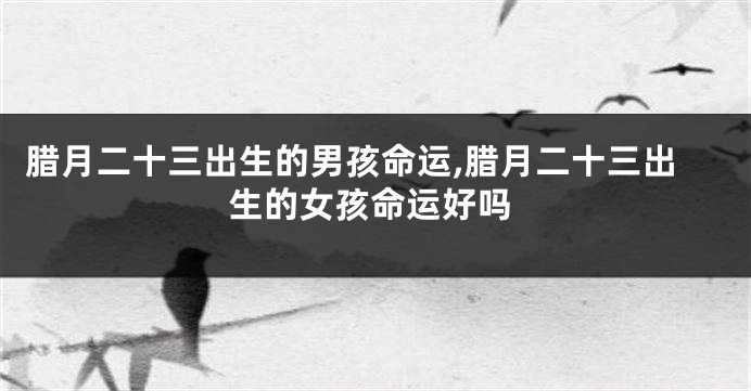 腊月二十三出生的男孩命运,腊月二十三出生的女孩命运好吗