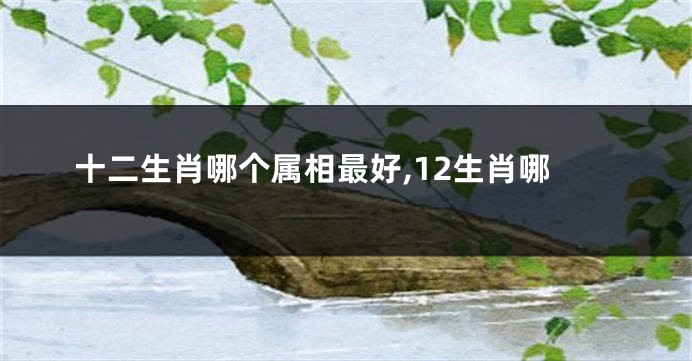 十二生肖哪个属相最好,12生肖哪