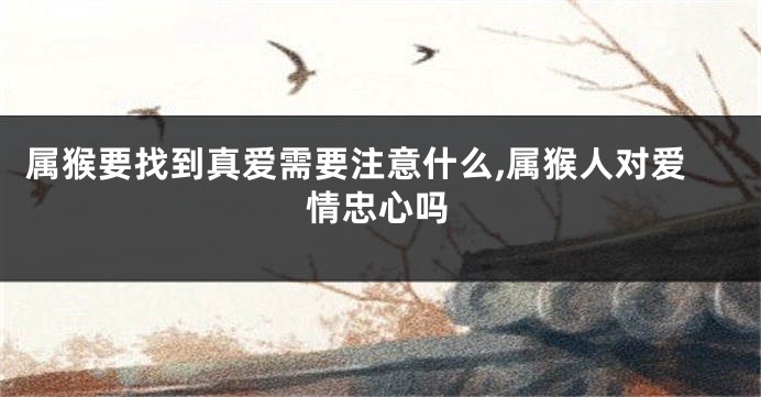 属猴要找到真爱需要注意什么,属猴人对爱情忠心吗