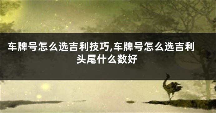 车牌号怎么选吉利技巧,车牌号怎么选吉利头尾什么数好
