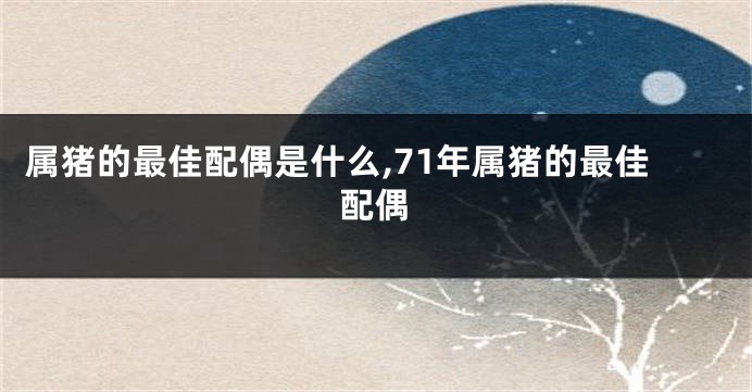 属猪的最佳配偶是什么,71年属猪的最佳配偶