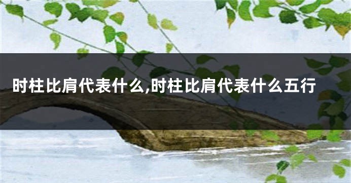 时柱比肩代表什么,时柱比肩代表什么五行