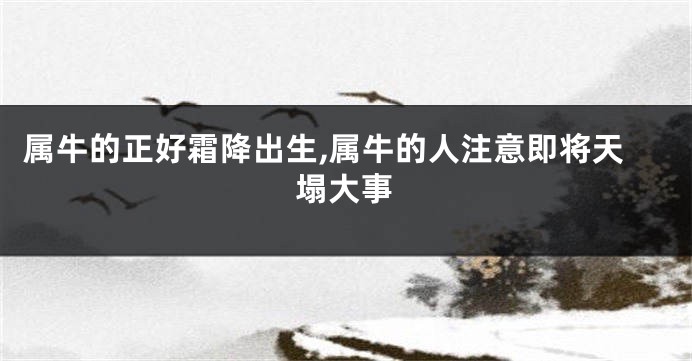 属牛的正好霜降出生,属牛的人注意即将天塌大事