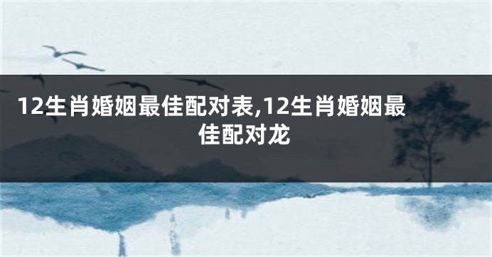 12生肖婚姻最佳配对表,12生肖婚姻最佳配对龙