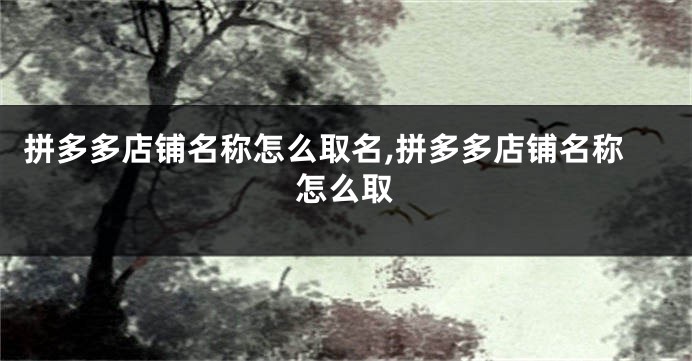 拼多多店铺名称怎么取名,拼多多店铺名称怎么取