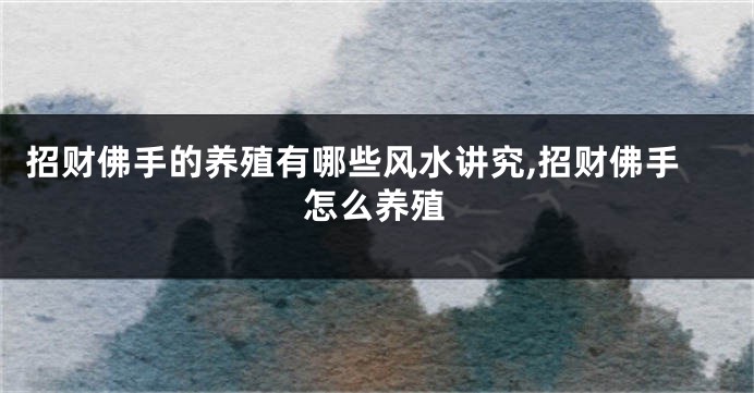 招财佛手的养殖有哪些风水讲究,招财佛手怎么养殖