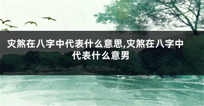 灾煞在八字中代表什么意思,灾煞在八字中代表什么意男