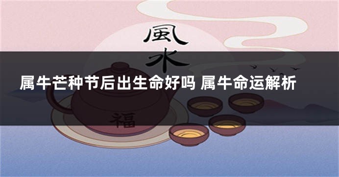 属牛芒种节后出生命好吗 属牛命运解析