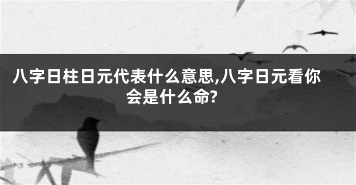 八字日柱日元代表什么意思,八字日元看你会是什么命?