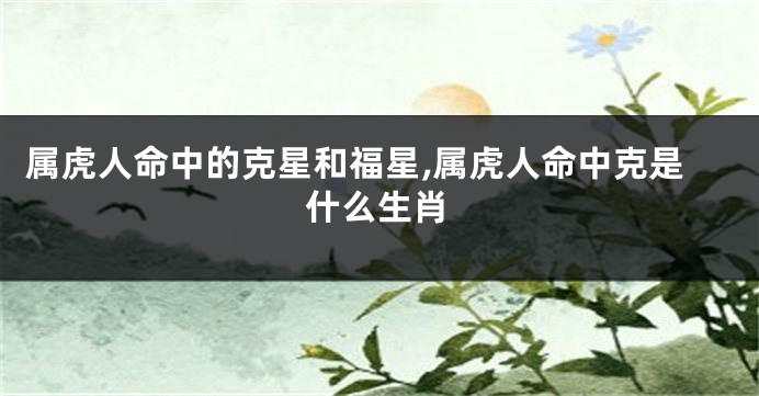 属虎人命中的克星和福星,属虎人命中克是什么生肖