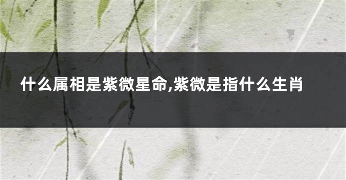 什么属相是紫微星命,紫微是指什么生肖