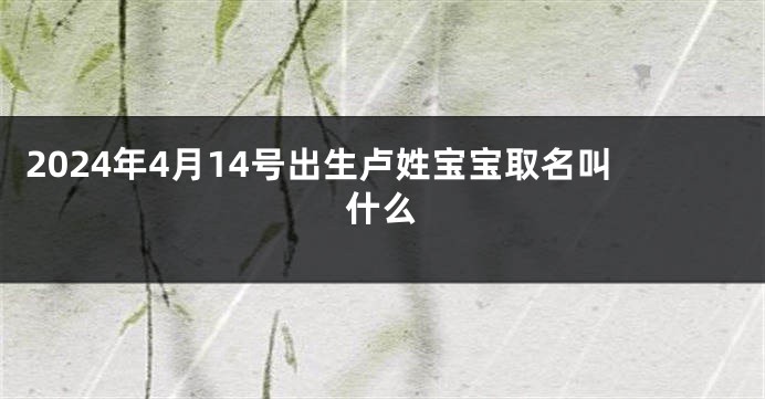2024年4月14号出生卢姓宝宝取名叫什么