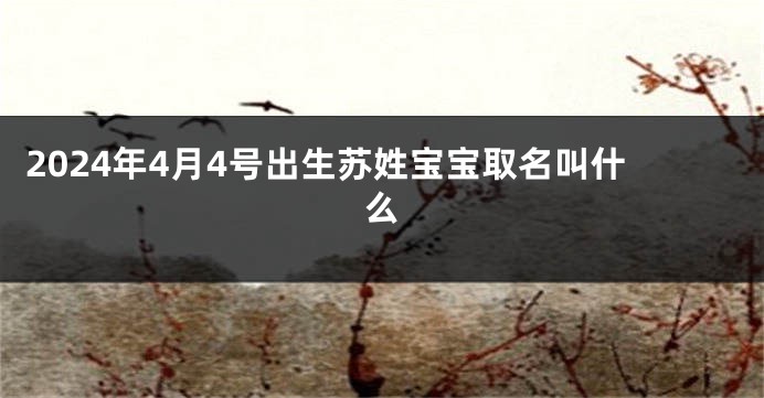 2024年4月4号出生苏姓宝宝取名叫什么