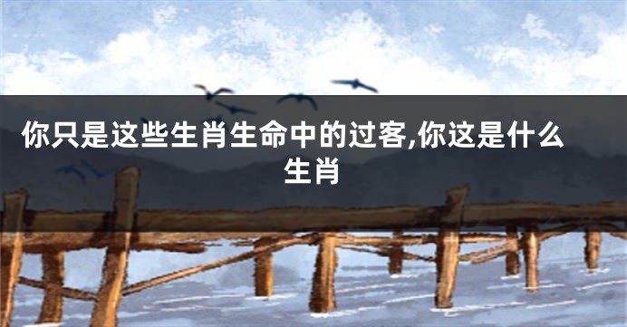你只是这些生肖生命中的过客,你这是什么生肖