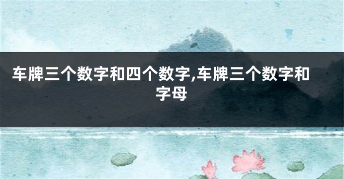 车牌三个数字和四个数字,车牌三个数字和字母