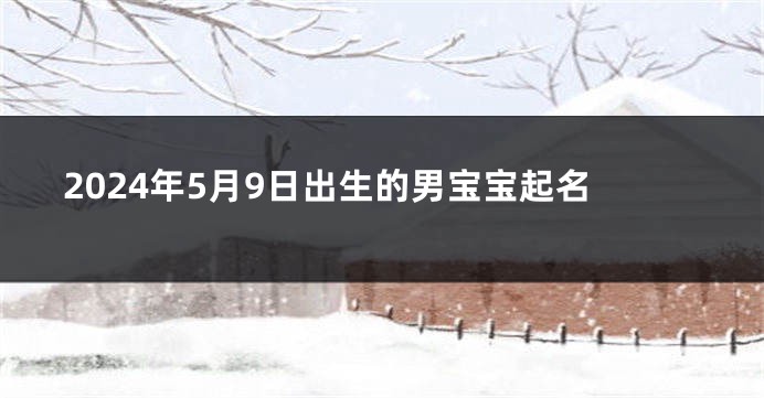 2024年5月9日出生的男宝宝起名