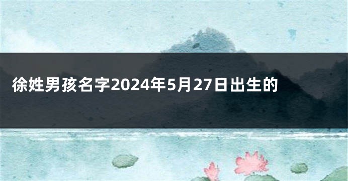 徐姓男孩名字2024年5月27日出生的