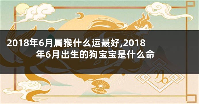 2018年6月属猴什么运最好,2018年6月出生的狗宝宝是什么命