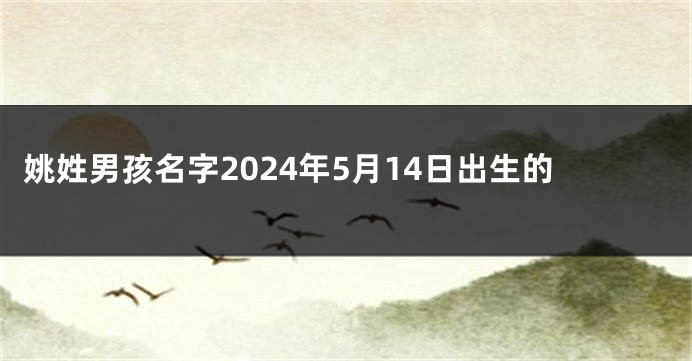 姚姓男孩名字2024年5月14日出生的