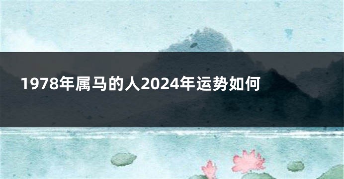 1978年属马的人2024年运势如何