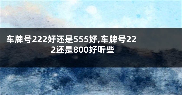 车牌号222好还是555好,车牌号222还是800好听些