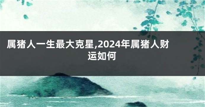 属猪人一生最大克星,2024年属猪人财运如何