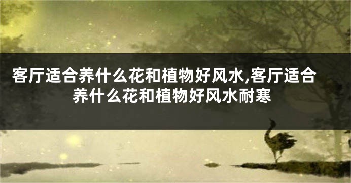 客厅适合养什么花和植物好风水,客厅适合养什么花和植物好风水耐寒