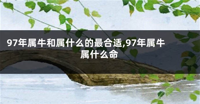 97年属牛和属什么的最合适,97年属牛属什么命