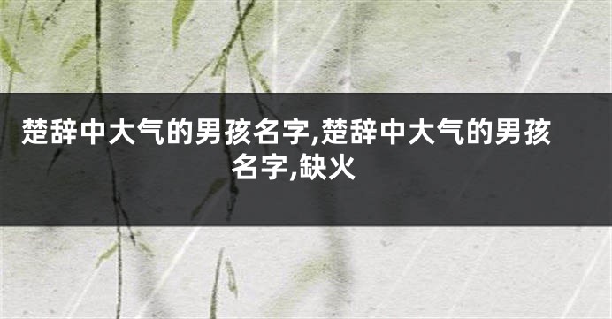 楚辞中大气的男孩名字,楚辞中大气的男孩名字,缺火