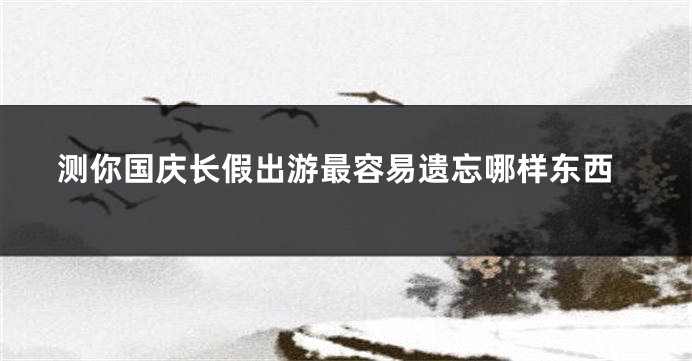 测你国庆长假出游最容易遗忘哪样东西