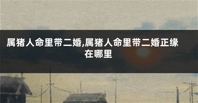 属猪人命里带二婚,属猪人命里带二婚正缘在哪里