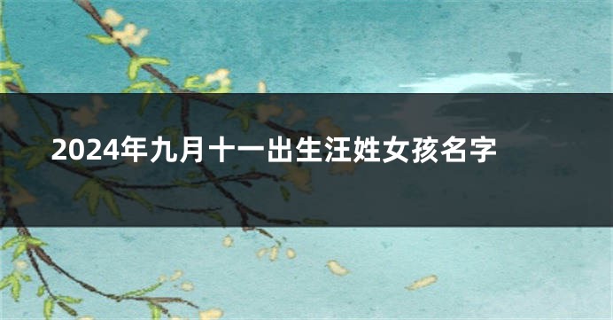 2024年九月十一出生汪姓女孩名字