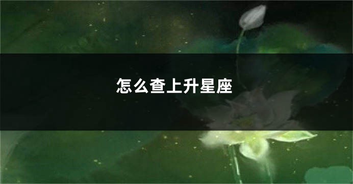 怎么查上升星座