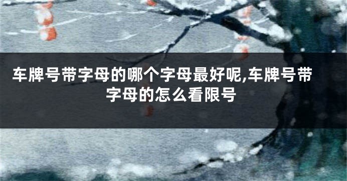 车牌号带字母的哪个字母最好呢,车牌号带字母的怎么看限号