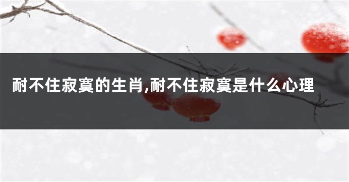 耐不住寂寞的生肖,耐不住寂寞是什么心理