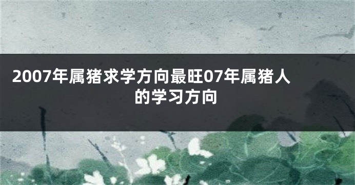 2007年属猪求学方向最旺07年属猪人的学习方向