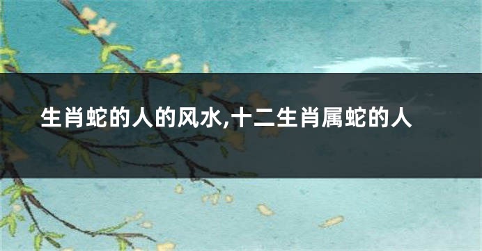 生肖蛇的人的风水,十二生肖属蛇的人